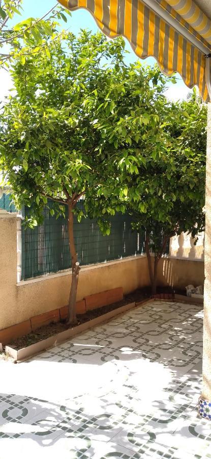 Apartement A La Mata Torrevieja Eksteriør bilde